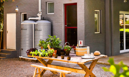 How to collect and use rainwater in your home