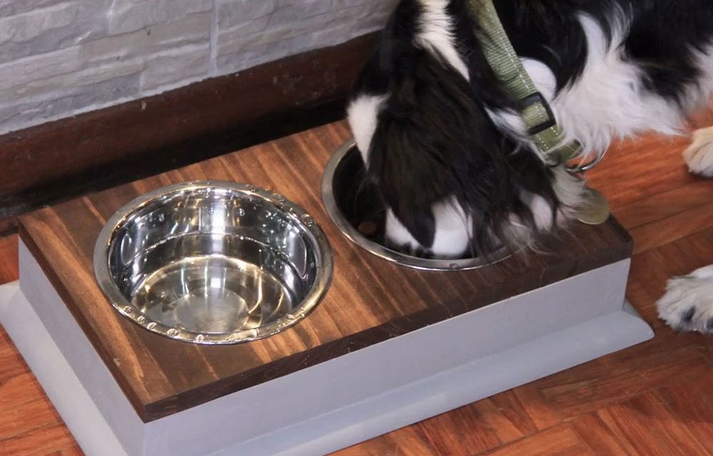 How to make a dog feeding station