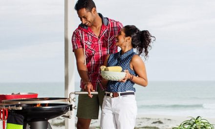 How to choose the right braai