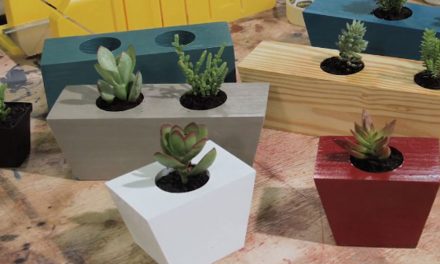 How to make an ornamental succulent planter