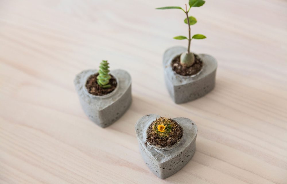 How to make cactus and succulent table favours