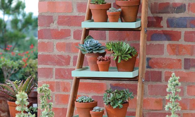 How to turn a ladder into an outdoor display