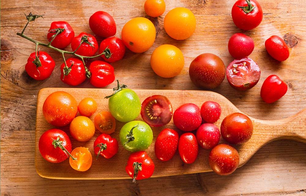 How to plant and care for tomatoes