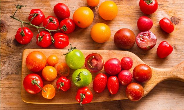 How to plant and care for tomatoes
