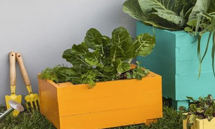 How to make wooden vegetable planters