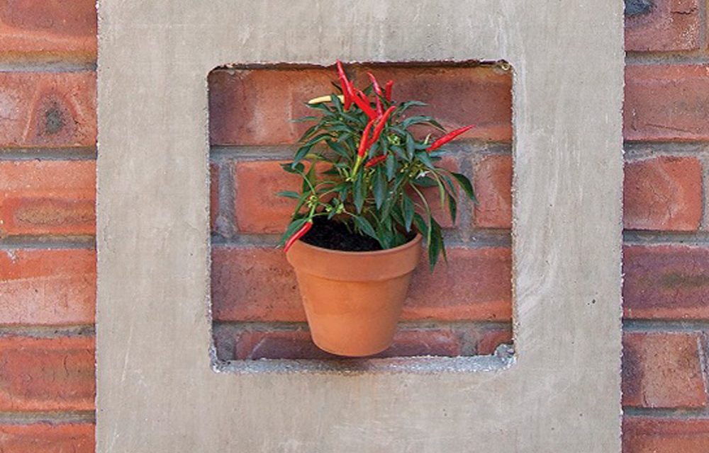 How to frame your pot plants