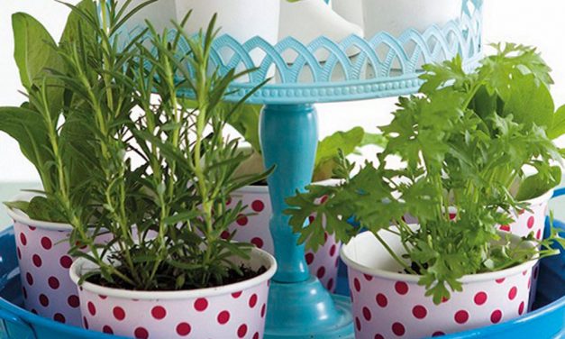 How to make a cake stand herb garden