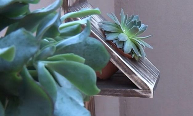 How to make a vertical wall planter