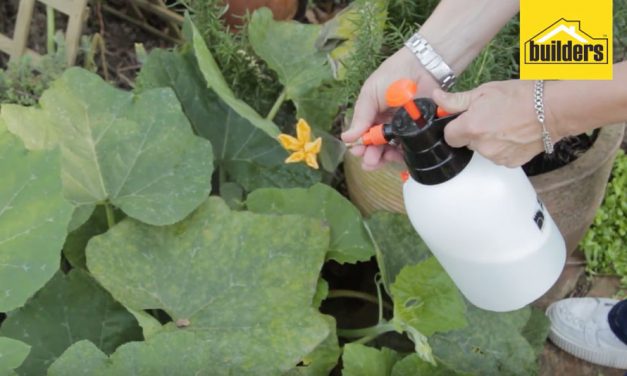 How to use pressure spray bottles for gardening