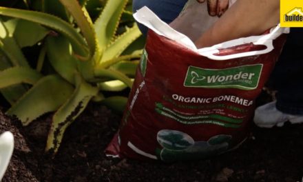 How to plant fertilisers, bone meal and superphosphate