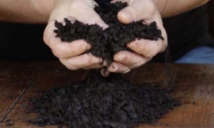 How to use potting soil