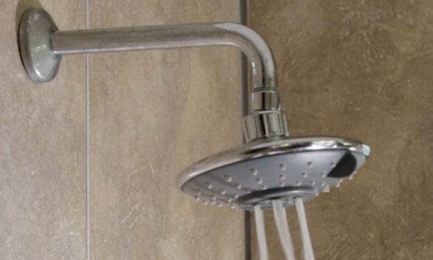 Product Review: Ellies marigold showerhead