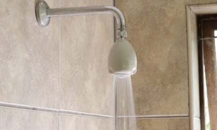 Product Review: Ellies Rosebud shower head