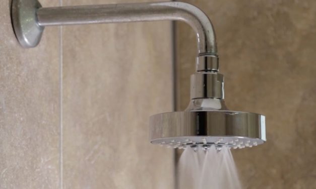 Product Review: Ellies storm shower head
