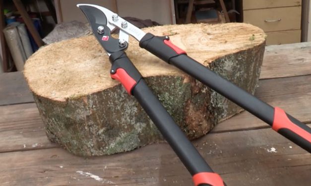 Product Review: Garden Master Telescopic Bypass Loppers