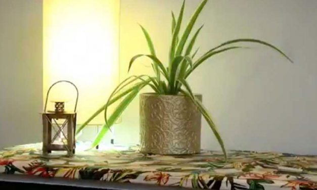 How to give a chest of drawers a tropical makeover