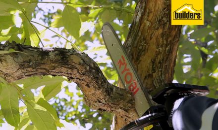 Product Review: Ryobi 40cc Petrol Chain Saw