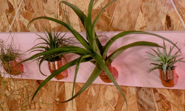 How to make air plants with copper pipes