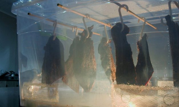 How To Make a Biltong Dryer