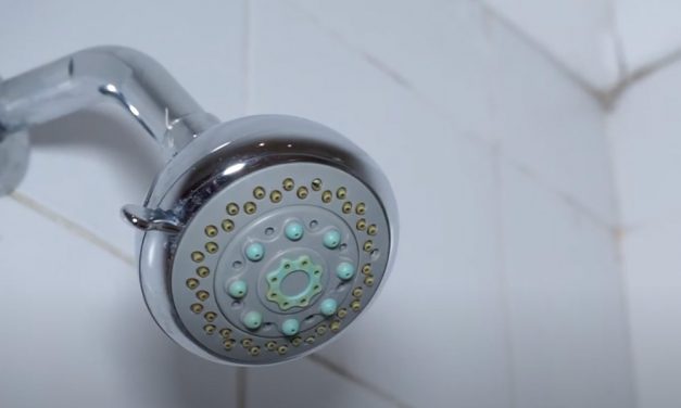How To Clean Your Shower Rose Head