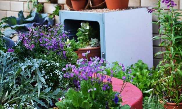The veggie garden as your happy place