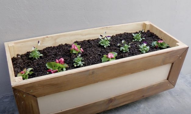 Take Your Plants Above Ground With This Raised Planter Box DIY