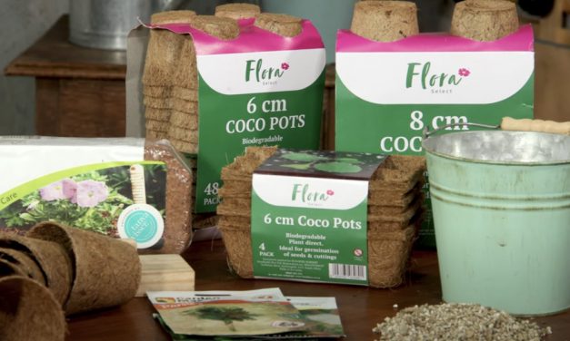 Everything You Need To Know About Flora Coco Pots