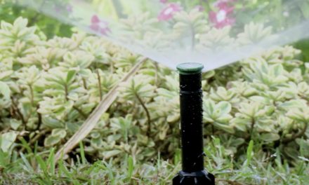 Irrigation | How To Get Started: Irrigation Pop Ups vs Riser Sprinklers