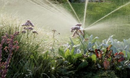 Irrigation | How To Maintain Your Irrigation System