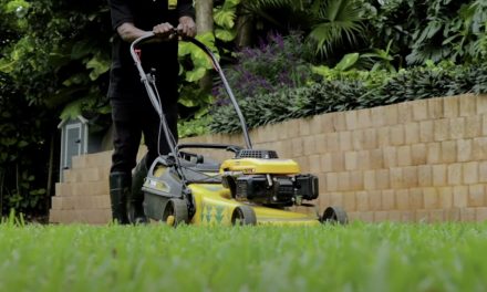 There Is More To Mowing & Edging Your Lawn Than You Know
