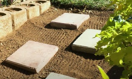 DIY Transform Your Garden By Making Your Own Garden Pavers