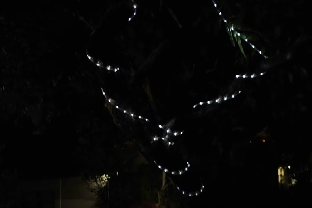 XO Talks About Outdoor Ambient Lighting