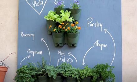 Make Vertical Gardening Easier With The Garden Joy Three Tier Planter
