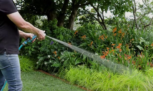 Must Have Garden Gadgets When Fertilising Your Lawn