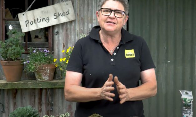 Waterwise Gardening tips with Tanya