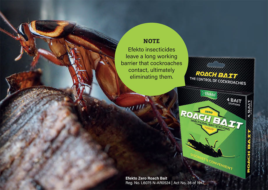 EntoHygiene Services Sdn Bhd. - Do you know how cockroach bait works❓ Cockroach  bait is a slow-acting insecticide with food attractant. The characteristics  of the baits lure the cockroaches to feed on