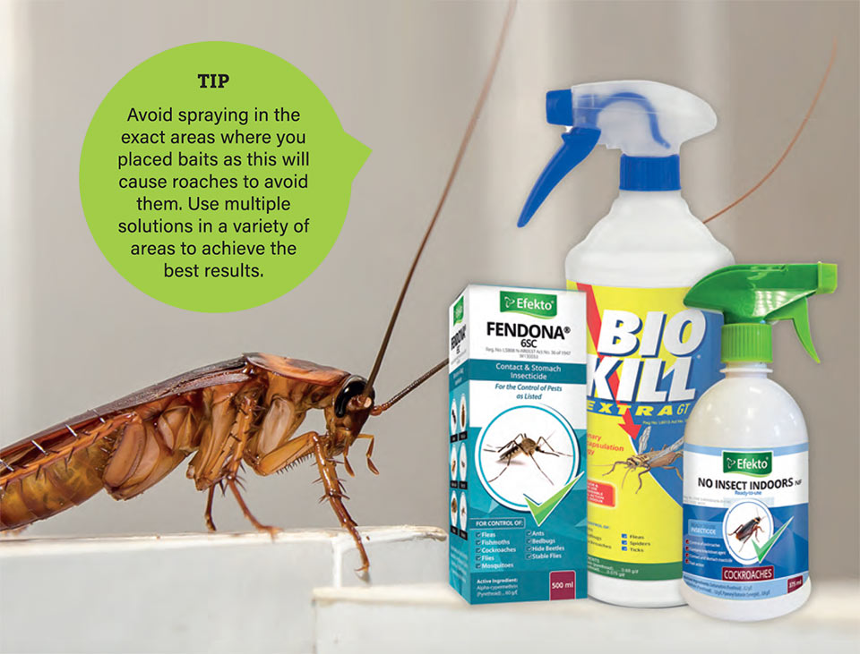 cockroach control