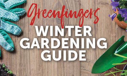 Greenfingers Winter Gardening Guide