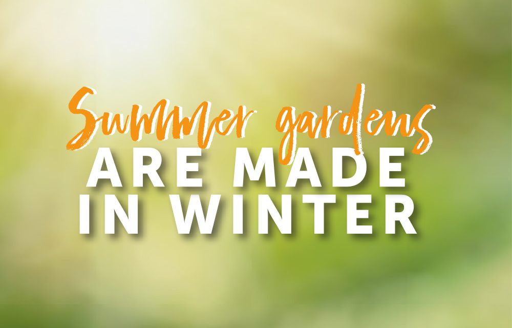 Summer gardens are made in winter