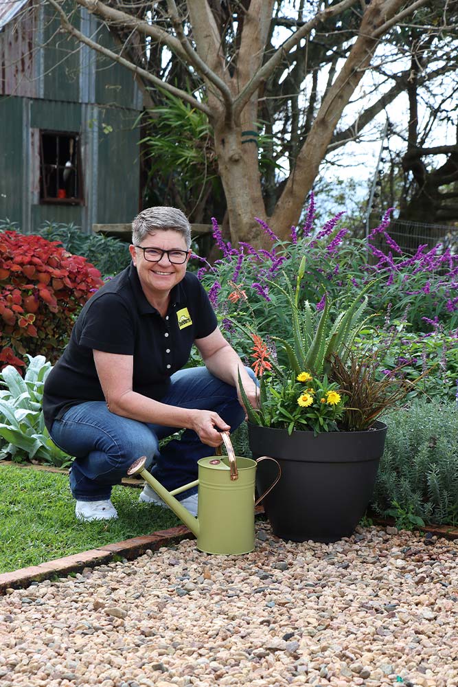 Garden Master hedge shears