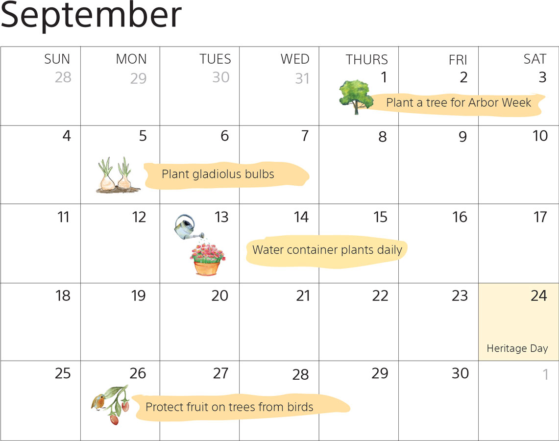 Spring Summer Garden Calendar - September