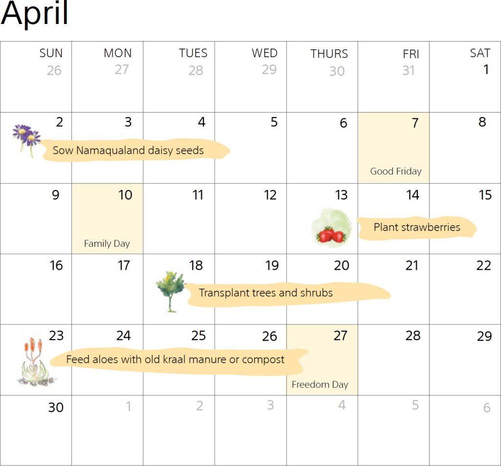 Autumn / Winter Garden Calendar: April | DIY Blog