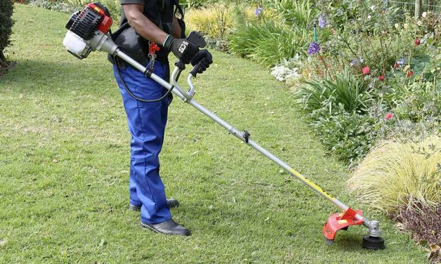 Keeping it tidy with a brushcutter