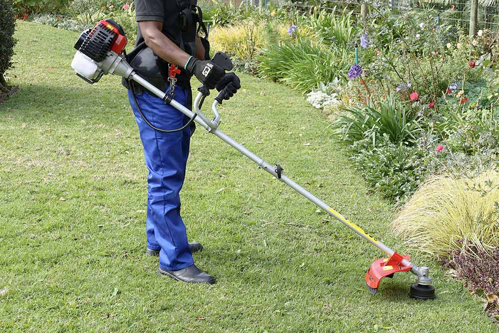 Ryobi brushcutter range