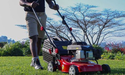 Ryobi RM 125 – Just the mower for a small garden