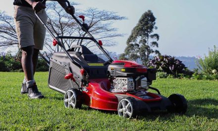 Ryobi RM 145 – a mid-weight mower for a perfect lawn