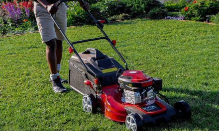 Ryobi RM 170 – just the mower for a large garden