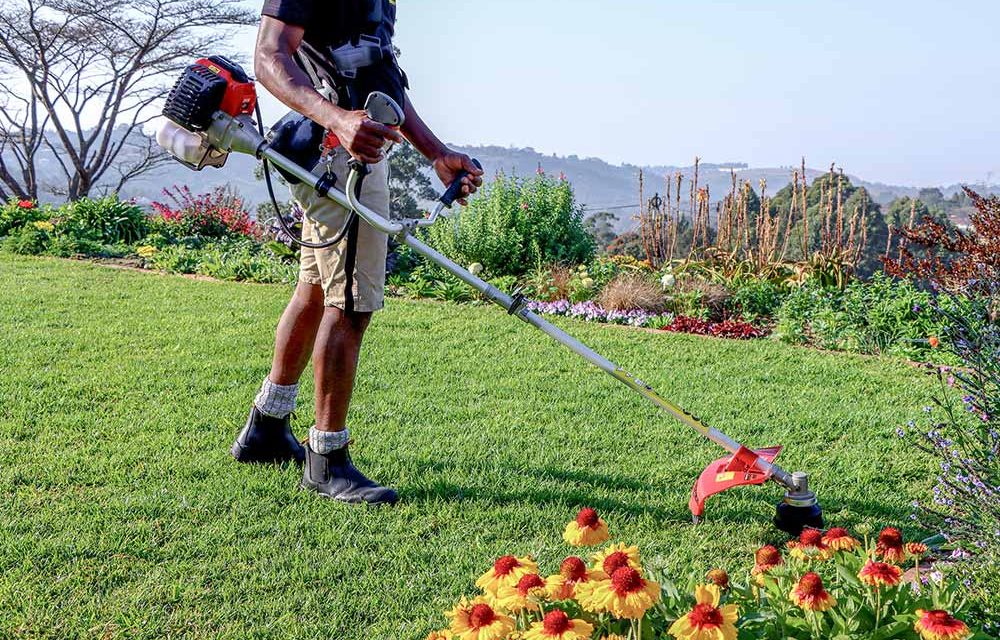 Master your garden with the Ryobi RBC 52cc petrol brushcutter