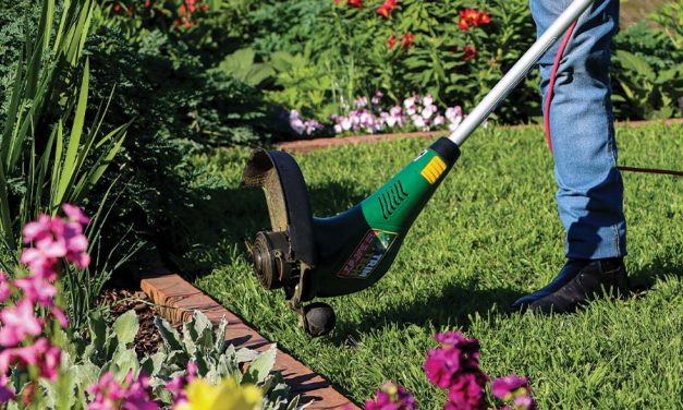 Trimtech line trimmer – giving you the lawn care edge