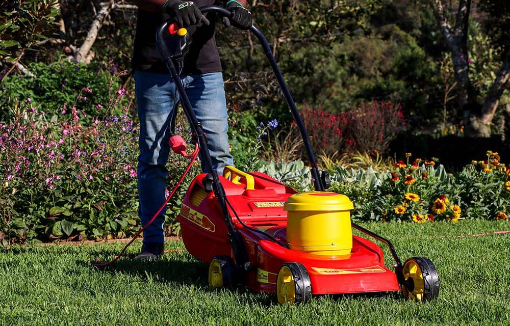 Taming your lawn with the Wolf Garden Cub mower